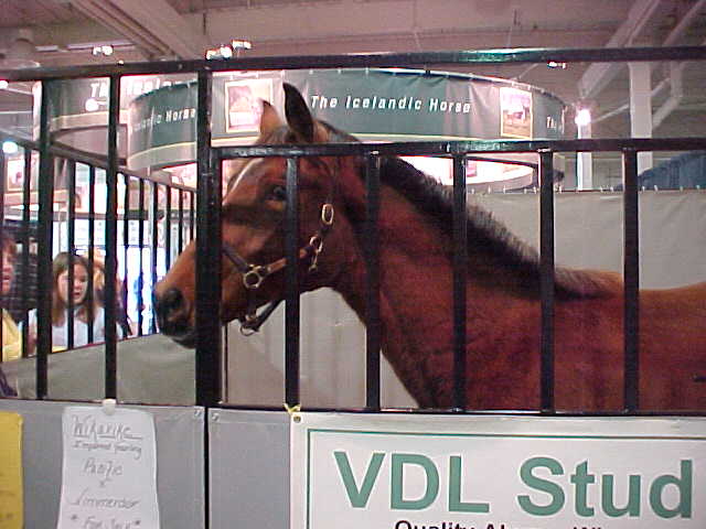 VDL Booth at Equine Affaire